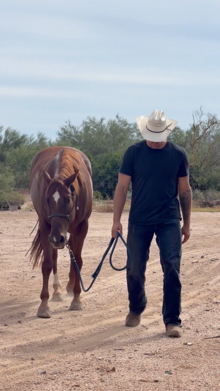 Man in cowboy hat and jeans leading a brown horse on sandy ground