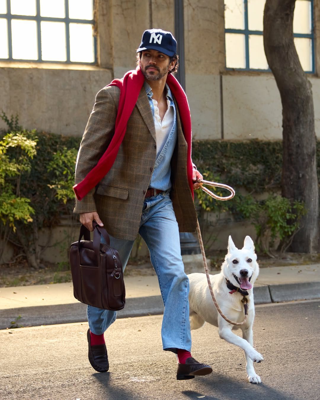 Man in a blazer and baseball cap walking a white dog on a sidewalk.